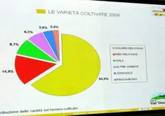 Un grafico a torta che rende bene la forte prevalenza di Golden Delicious in Val Venosta.