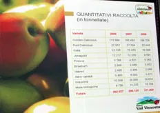 Per la stagione 2009/10, VIP Val Venosta prevede di produrre 320.000 tonnellate di mele, in crescita rispetto alle 311.000 del 2008/09.