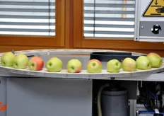 Un penetrometro (a destra) misurerà la consistenza dei frutti, che saranno poi spezzettati dal macchinario per estrarne altre informazioni (grado Brix, acidita', etc.).