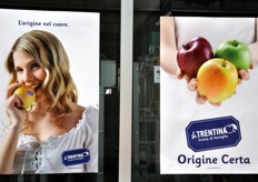 Al momento, il Consorzio raggruppa 6 cooperative, di cui quattro specializzate nella produzione di mele e una attiva nel settore dei piccoli frutti. Negli ultimi anni, La Trentina ha intrapreso una politica commerciale unitaria e una forte politica di marca, portando contemporaneamente a termine un processo di aggregazione delle cooperative socie.