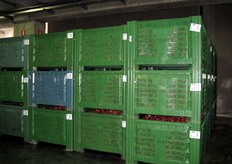 Cassoni di mele che provengono dai campi dei soci produttori.