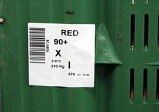 Ogni cassone reca un'etichetta identificativa.