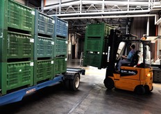 Movimentazione bins.