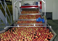 Verso la calibratrice elettronica.