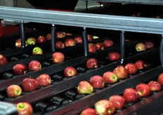 Sulle mele viene inviato un getto d'aria (ugelli ricoperti di plastica) per l'eliminazione dell'acqua in eccesso.