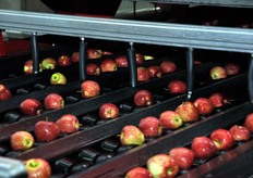 Sulle mele viene inviato un getto d'aria (ugelli ricoperti di plastica) per l'eliminazione dell'acqua in eccesso.