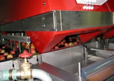 Sotto la calibratrice/selezionatrice ottica automatica, le mele vengono smistate in base a diversi parametri, quali calibro, colore, eventuale presenza di difetti, etc.