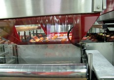 Un film plastico a scorrimento protegge le telecamere dei macchinari dagli schizzi d'acqua che possono provenire dalla rotazione dei frutti sulle linee di calibratura.