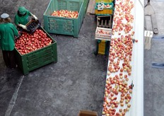 Immagine dall'alto di una delle linee di confezionamento.