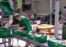 Imballaggi contenenti mele in sacchetto.