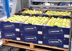 Cassette doppio strato.