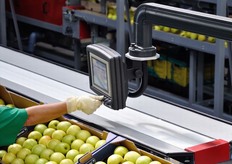 Una volta inserito nel sistema centrale, l'ordine viene inviato alla singola linea di lavorazione, dove gli addetti possono controllare lo stato di avanzamento del lavoro in tempo reale, attraverso monitor con touch-screen.