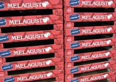 "Il marchio "la Trentina" viene utilizzato per il prodotto di prima categoria, mentre per le mele di seconda categoria da parecchi anni viene utilizzato il marchio "MelaGusto"."