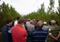 Le giornate studio organizzate in campo dal CO.VI.L, in collaborazione con vari specialisti, in alcune fasi del ciclo produttivo delle specie frutticole e agrumi, suscitano sempre molto interesse dei frutticoltori, tecnici e operatori del settore, poiché sono importanti occasioni di approfondimento su novità varietali, portinnesti, gestione degli impianti, tecniche colturali etc.