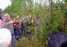 Le prove dimostrative di potatura sono state condotte dal prof. Davide Neri (nella foto con le forbici tucano) del Dipartimento di Scienze Ambientali e delle Produzioni Vegetali dell'Università Politecnica delle Marche di Ancona.