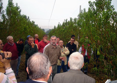 Gli effetti della potatura, afferma Neri, cambiano in relazione del periodo di intervento. In ogni caso, i tagli non devono mai causare squilibri sulla pianta, ma consentire una migliore distribuzione degli elaborati soprattutto a vantaggio della qualita' dei frutti.