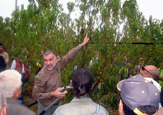 Tutte le operazioni colturali praticate su un pescheto, compresa la potatura, devono concorrere al mantenimento di un buon vigore vegetativo sulla pianta al fine di stimolare l'emissione di rami con elevate potenzialita' produttive. L'abilita' del moderno frutticoltore, afferma Neri, deve consistere nel saper convertire il vigore in qualita' della produzione, con il minor numero possibile di interventi manuali.