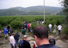 Il pesco e' tra le specie arboree maggiormente studiata per la ricerca di nuove forme di allevamento. Questa esigenza nasce principalmente dalla necessita' di intensificare gli impianti per ridurre la fase improduttiva e raggiungere in tempi brevi la piena produzione.