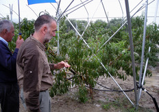 Spiega il prof. Neri che il successo agronomico delle doppie pareti inclinate si basa sull'efficienza bioenergetica complessiva del sistema d'impianto (quantita' e distribuzione della luce intercettata, efficienza dei mezzi di produzione) piuttosto che su quello della singola pianta.