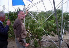 "Attualmente si ricorre all'"ipsilon trasversale" soprattutto per la coltivazione sotto copertura."