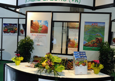 Stand Apo Scaligera.