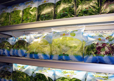 Assortimento di insalate a marchio MioOrto.