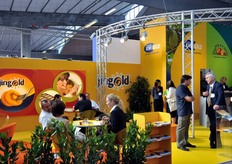 Jingold e' il marchio del kiwi giallo del Consorzio KiwiGold.