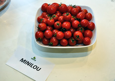 Gautier ha esposto in fiera un nuovo ciliegino dal gusto particolarmente dolce, Minilou.