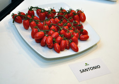 Altre novita' Gautier.