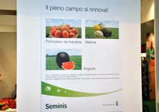 Seminis informa che, a partire dal primo settembre 2009, tutta la gamma di: pomodoro da industria, melone e anguria e' stata assegnata a Seminis, nell'ambito della specializzazione voluta dal Gruppo Monsanto per le sue controllate (tra cui De Ruiter Seeds e Poloni Semences).