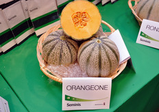 Uno dei meloni della gamma Seminis.