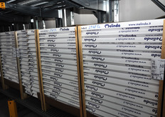 Si intuisce che e' stagione di mele?