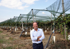 Questo impianto di Jintao copre 11 ettari ed e' gestito da Maurizio, fratello del presidente del Consorzio KiwiGold Patrizio Neri (nella foto).