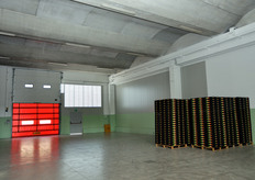 Area per il conferimento della merce. Qui il prodotto in arrivo (tutti ortaggi, con netta prevalenza del pomodoro) viene immediatamente valutato, in modo che il produttore sia informato da subito sulla rispondenza o meno della merce agli standard qualitativi richiesti dal mercato.