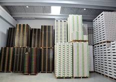 "Sala imballaggi. L'obiettivo a 3 anni per questo stabilimento e' quello di arrivare a un volume annuo di 10.000 tonnellate di prodotto lavorato. "La capacita' produttiva - dice Alfonso D'Aquila - potrebbe comunque raggiungere anche le 15.000 tonnellate"."