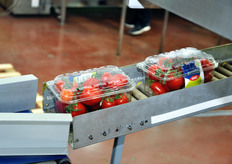 Vaschette pronte per la pesatura e la prezzatura.