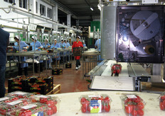 Pesatura e prezzatura delle vaschette vengono effettuate dal macchinario sulla destra della foto.