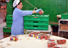 Il prodotto prezzato viene sistemato nelle cassette.