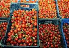 Pomodoro ciliegino in attesa di confezionamento.