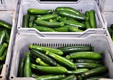 Altre referenze che transitano presso lo stabilimento di Donnalucata, ma in volumi molto minori rispetto al pomodoro, sono: zucchine, melanzane, cetrioli e peperoni. Qui vediamo alcune casse di zucchine da agricoltura biologica, pronte per il confezionamento.