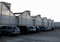 Dopo essersi confrontata con la realta' produttiva del pomodoro in Olanda, Orto Kamarina ha deciso di importare anche in Italia metodi e strutture di quel paese, realizzando un riuscito connubio tra passione siciliana e tecnologia olandese.