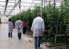 All'interno delle serre, il sistema di riscaldamento, quello di irrigazione e il controllo del tasso di umidita' relativa sono completamente programmabili in base alle esigenze produttive.