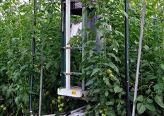 Operatore su carrello elevatore.