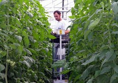 Carrello elevatore in manovra tra i filari.