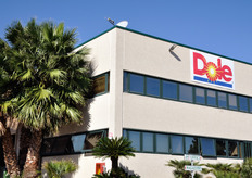 A meta' ottobre 2009, FreshPlaza si e' recata in visita presso lo stabilimento di maturazione e distribuzione banane di Dole Italia, sito in provincia di Catania, al km 114 della strada statale Messina-Siracusa.