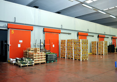 Celle frigo per esigenze di parcheggio della merce in arrivo o in partenza.