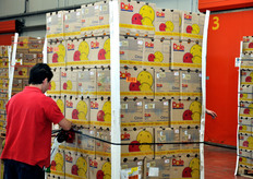 Pallet di agrumi sudafricani.