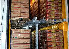 Il processo di ingiallimento delle banane richiede da quattro a sei giorni.