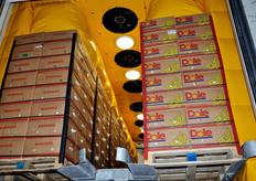 E' necessario sincronizzare a perfezione i flussi di entrata e di uscita della merce, in quanto la banana e' un frutto caratterizzato da una shelf-life molto breve, una volta matura.