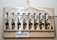 Le condizioni climatiche all'interno di ogni singola cella di maturazione sono costantemente monitorate. Il processo di maturazione si innesca nel momento in cui la polpa della banana raggiunge i 16 gradi centigradi.